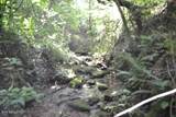 425 Baugh Hollow Lane - Photo 12