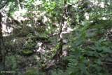 425 Baugh Hollow Lane - Photo 16