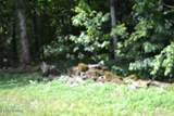 425 Baugh Hollow Lane - Photo 29