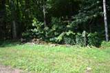 425 Baugh Hollow Lane - Photo 30