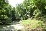 425 Baugh Hollow Lane - Photo 31