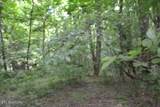425 Baugh Hollow Lane - Photo 33