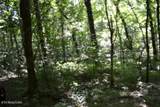 425 Baugh Hollow Lane - Photo 34