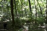425 Baugh Hollow Lane - Photo 35
