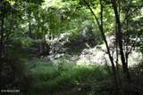 425 Baugh Hollow Lane - Photo 36