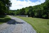425 Baugh Hollow Lane - Photo 47