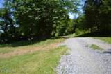 425 Baugh Hollow Lane - Photo 48