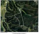 425 Baugh Hollow Lane - Photo 49