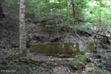 425 Baugh Hollow Lane - Photo 6