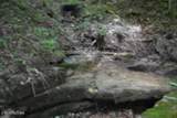 425 Baugh Hollow Lane - Photo 7