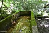 425 Baugh Hollow Lane - Photo 8