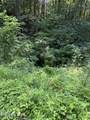  Lot 56 Butternut Lane - Photo 5