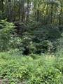  Lot 56 Butternut Lane - Photo 6