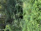  Lot 56 Butternut Lane - Photo 8