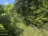 0 Mountain Shores Rd - Photo 3