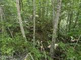 0 Mountain Shores Rd - Photo 4