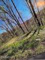  Esslinger Dr & Low Gap Rd - Photo 10