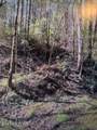  Esslinger Dr & Low Gap Rd - Photo 12