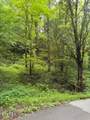  Esslinger Dr & Low Gap Rd - Photo 16