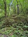  Esslinger Dr & Low Gap Rd - Photo 3