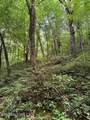  Esslinger Dr & Low Gap Rd - Photo 4