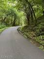  Esslinger Dr & Low Gap Rd - Photo 5