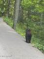  Esslinger Dr & Low Gap Rd - Photo 7