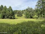  Clear Creek Rd. 41 Acres - Photo 4