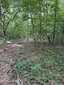 Clear Creek Rd. 41 Acres - Photo 5