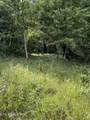  Clear Creek Rd. 41 Acres - Photo 8