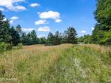 1955 Price Rd - Photo 3