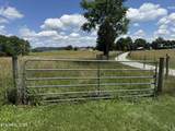  Dogwalk Rd - Photo 5