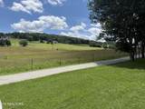  Dogwalk Rd - Photo 7