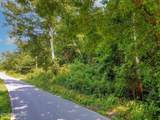  Elizabeth Downs Lane - Photo 9