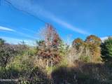 0 Shuler Drive - Photo 4