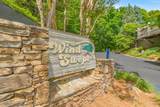 1130 Ski View Drive - Photo 2