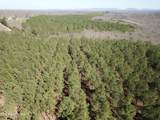  Buckridge Rd - Photo 10