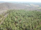  Buckridge Rd - Photo 14