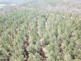  Buckridge Rd - Photo 17