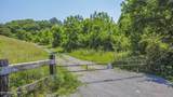  Ousley Gap Rd - Photo 3