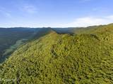  Spruce Pine (330 Acres) Rd - Photo 1
