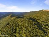  Spruce Pine (330 Acres) Rd - Photo 3