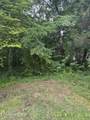  Timothy Drive - Photo 1