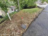 417 Mountain Thrush Drive - Photo 12