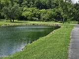 417 Mountain Thrush Drive - Photo 14