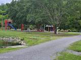417 Mountain Thrush Drive - Photo 6