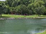 417 Mountain Thrush Drive - Photo 8