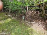 417 Mountain Thrush Drive - Photo 9