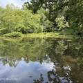 104 Azalea Circle - Photo 6