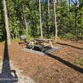 15+/- AC Red Hill Rd - Photo 21